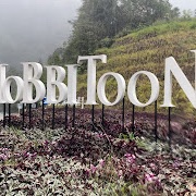 Cameron Highlands Revisited: A Rainy Trip!